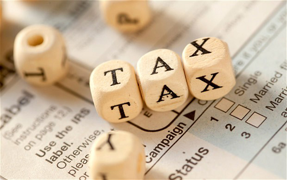 Tax Basics for Director